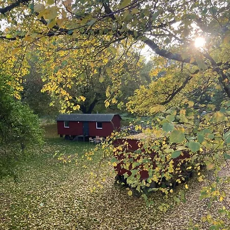 Hotel Schäferwagen auf dem Biogut-Saalkow Gustow  Exterior foto