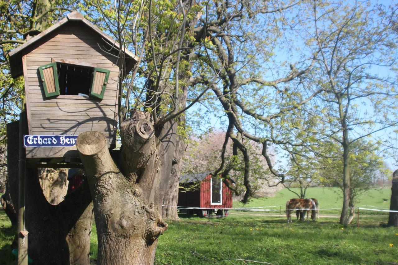 Schaeferwagen Auf Dem Biogut-saalkow Campsite *