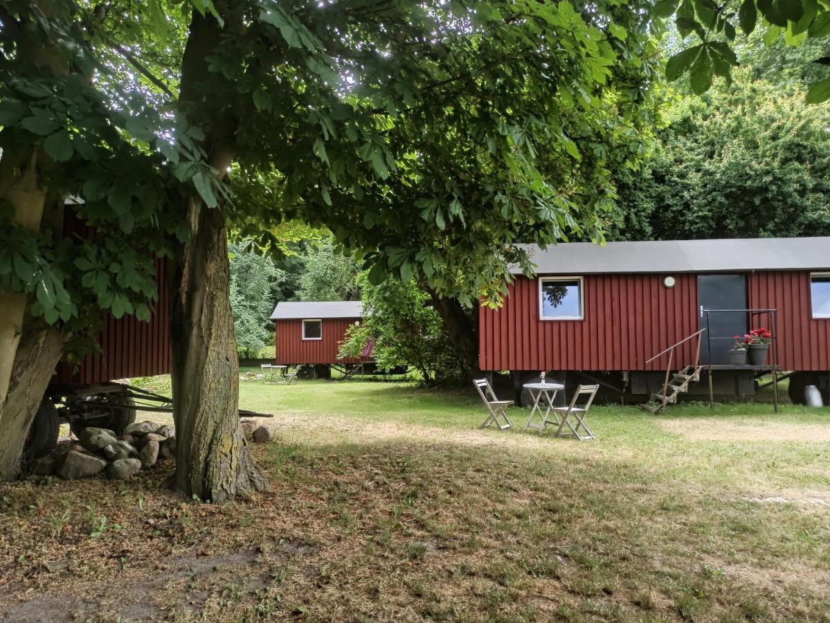 Schaeferwagen Auf Dem Biogut-saalkow Campsite Gustow (Vorpommern-Rugen)