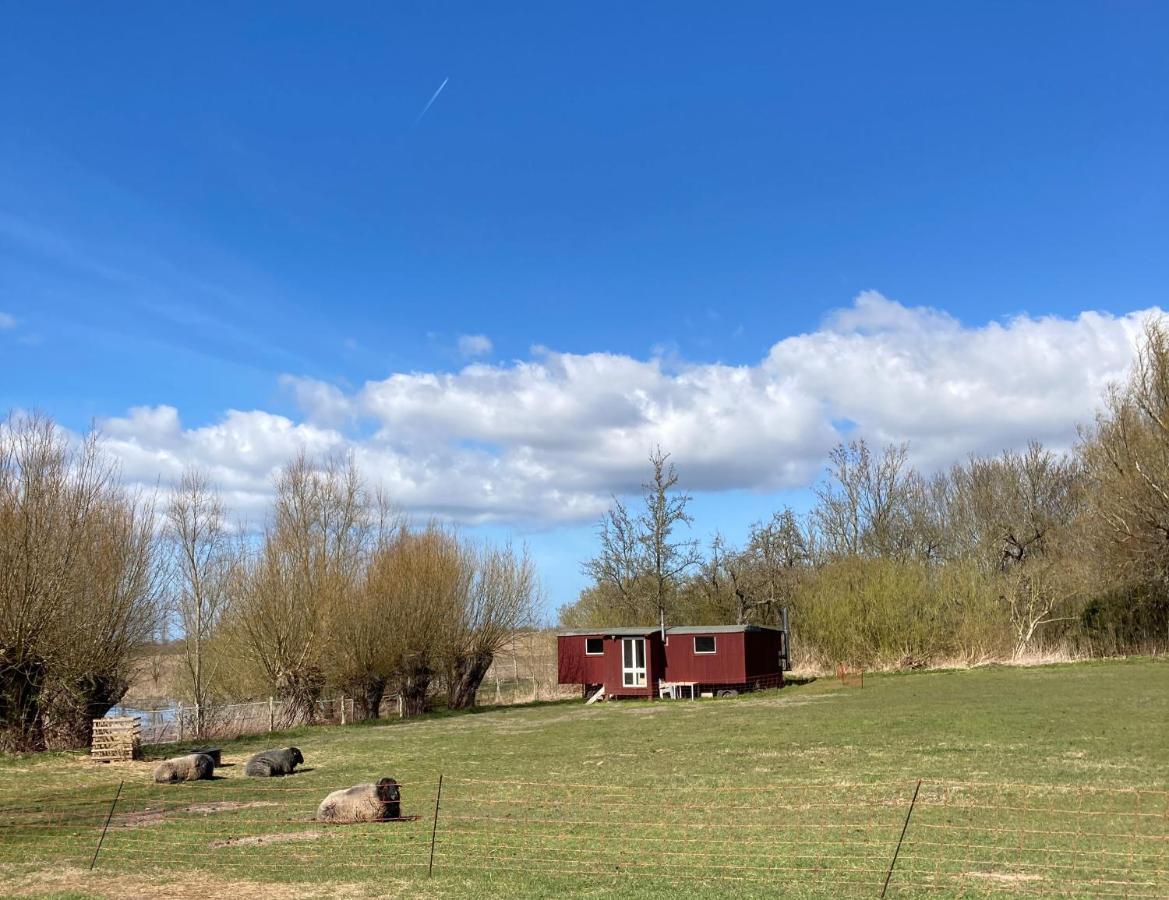 Campsite Schaeferwagen Auf Dem Biogut-saalkow Gustow (Vorpommern-Rugen)