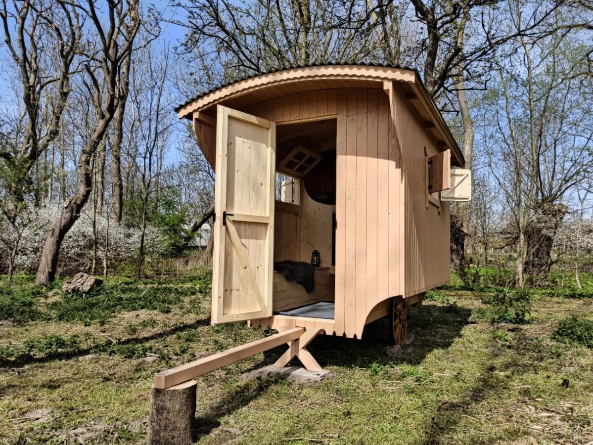 Schaeferwagen Auf Dem Biogut-saalkow Campsite Gustow (Vorpommern-Rugen)